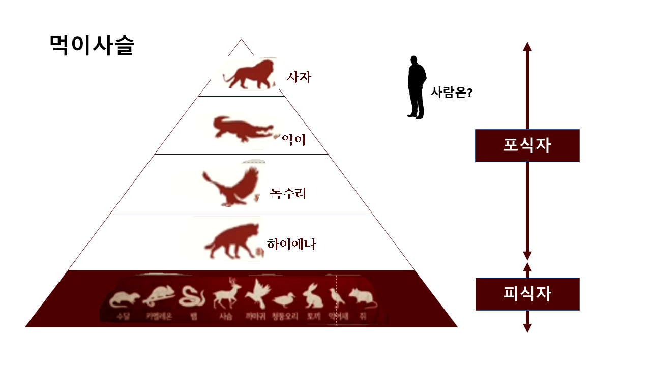 먹이사슬.png