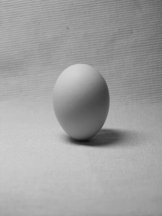 Egg-of-Columbus-photo-1-Figure-3-Egg-of-Columbus-photo-2.png