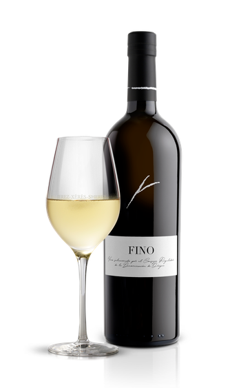 Fino.width-350.png