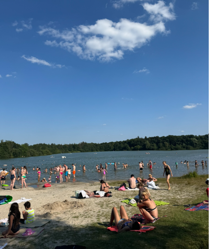 화면 캡처 2024-07-23 164112.png