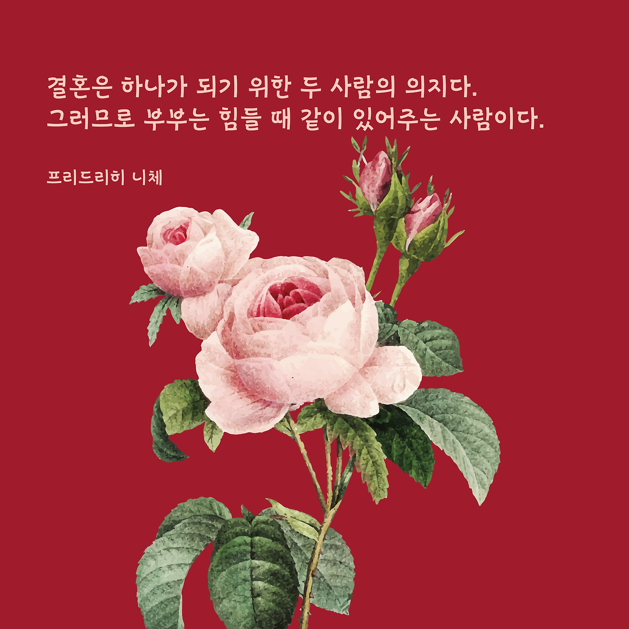 필사백-Day_66-001 (1).png