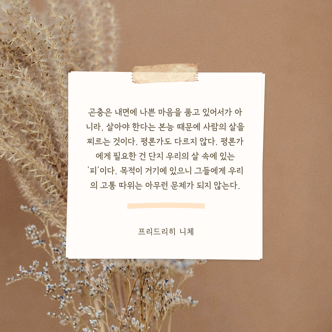 필사백-Day_61-001 (2).png