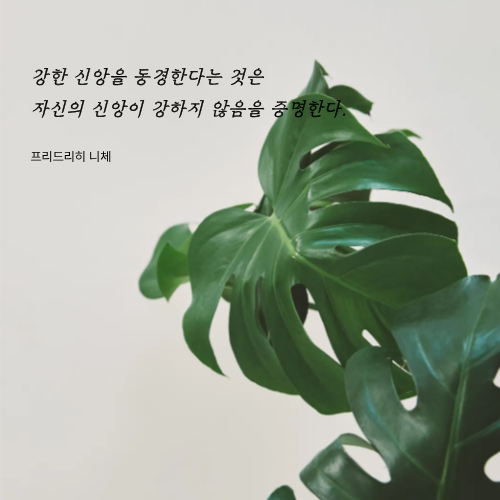 2025_니체25 (1).png