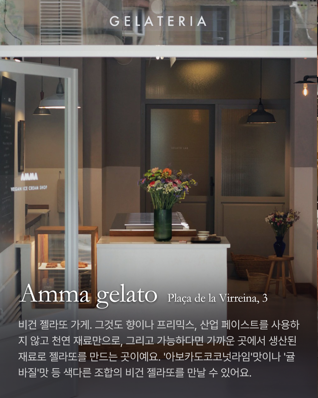 Gracia_4_AmmaGelato.png