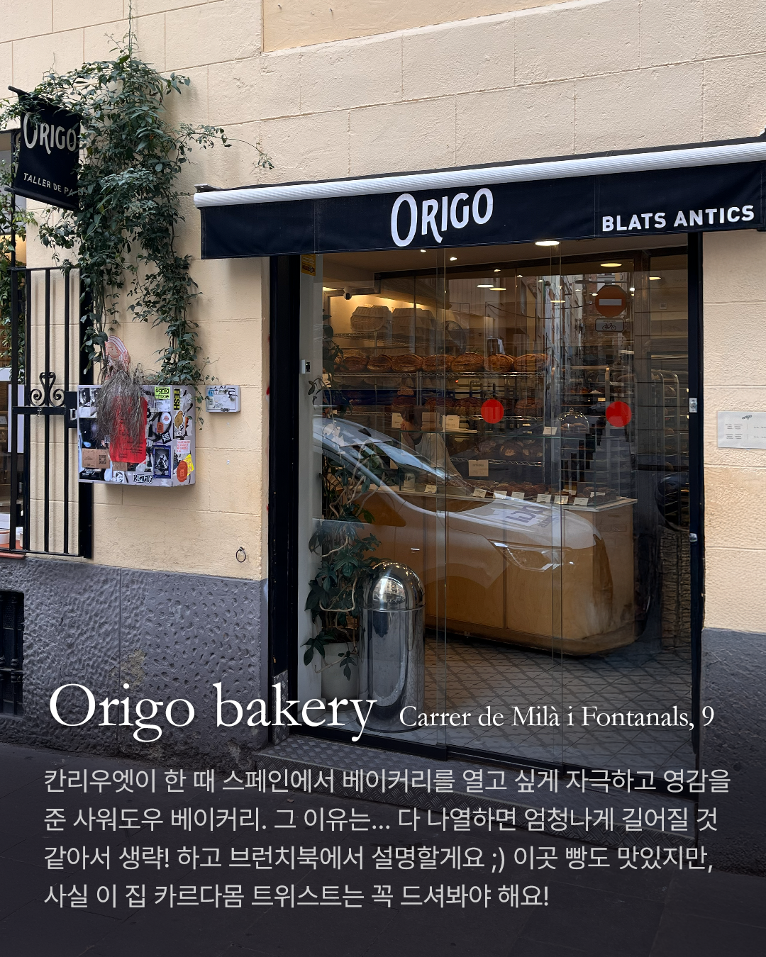 Gracia_2_OrigoBakery.png
