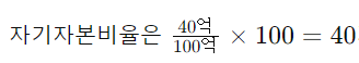 자기자본비율예시.png