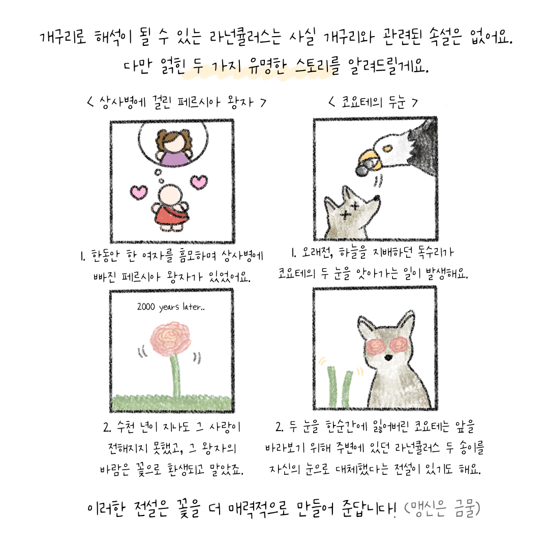 KakaoTalk_20230813_155708926_13.png