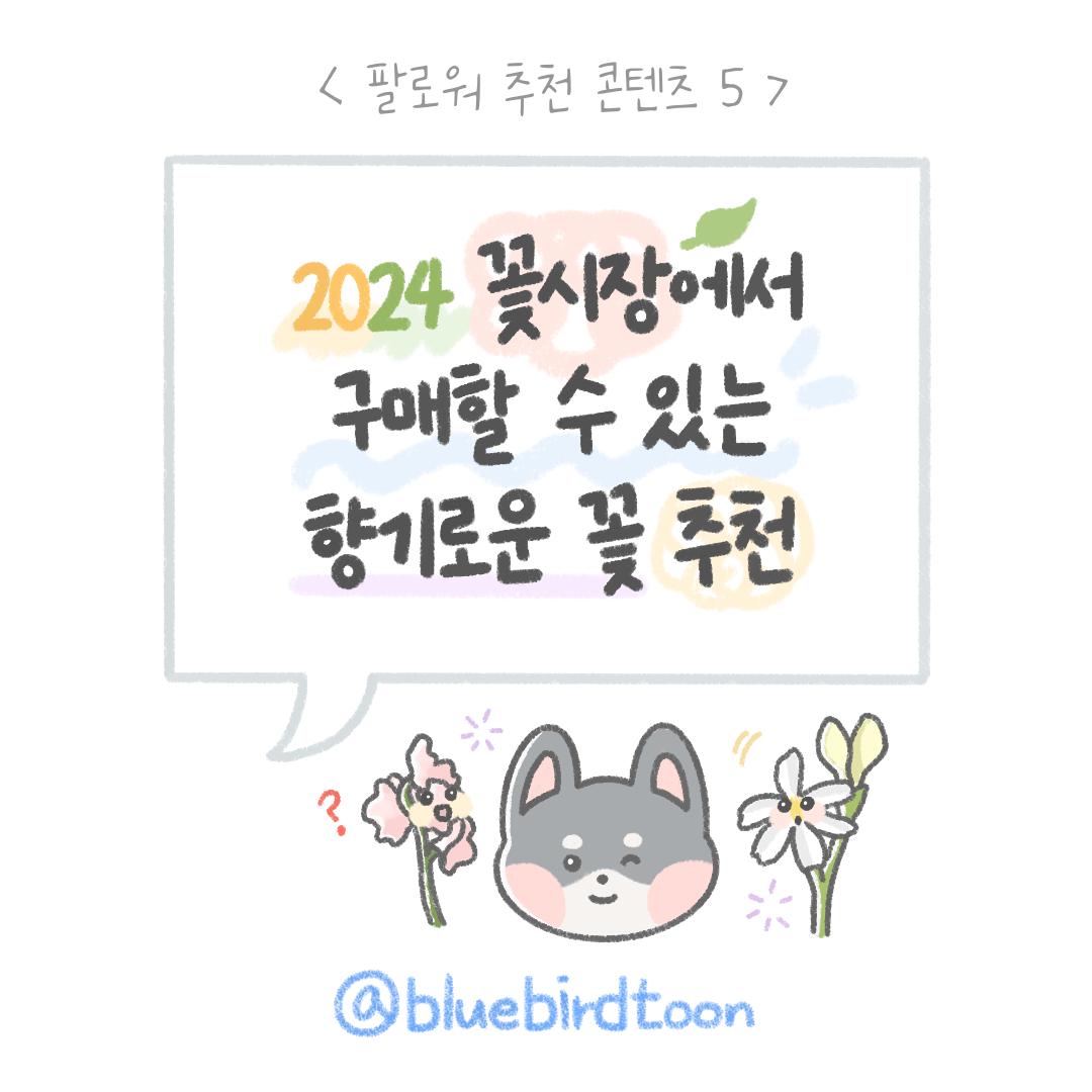KakaoTalk_20240426_123927101.png