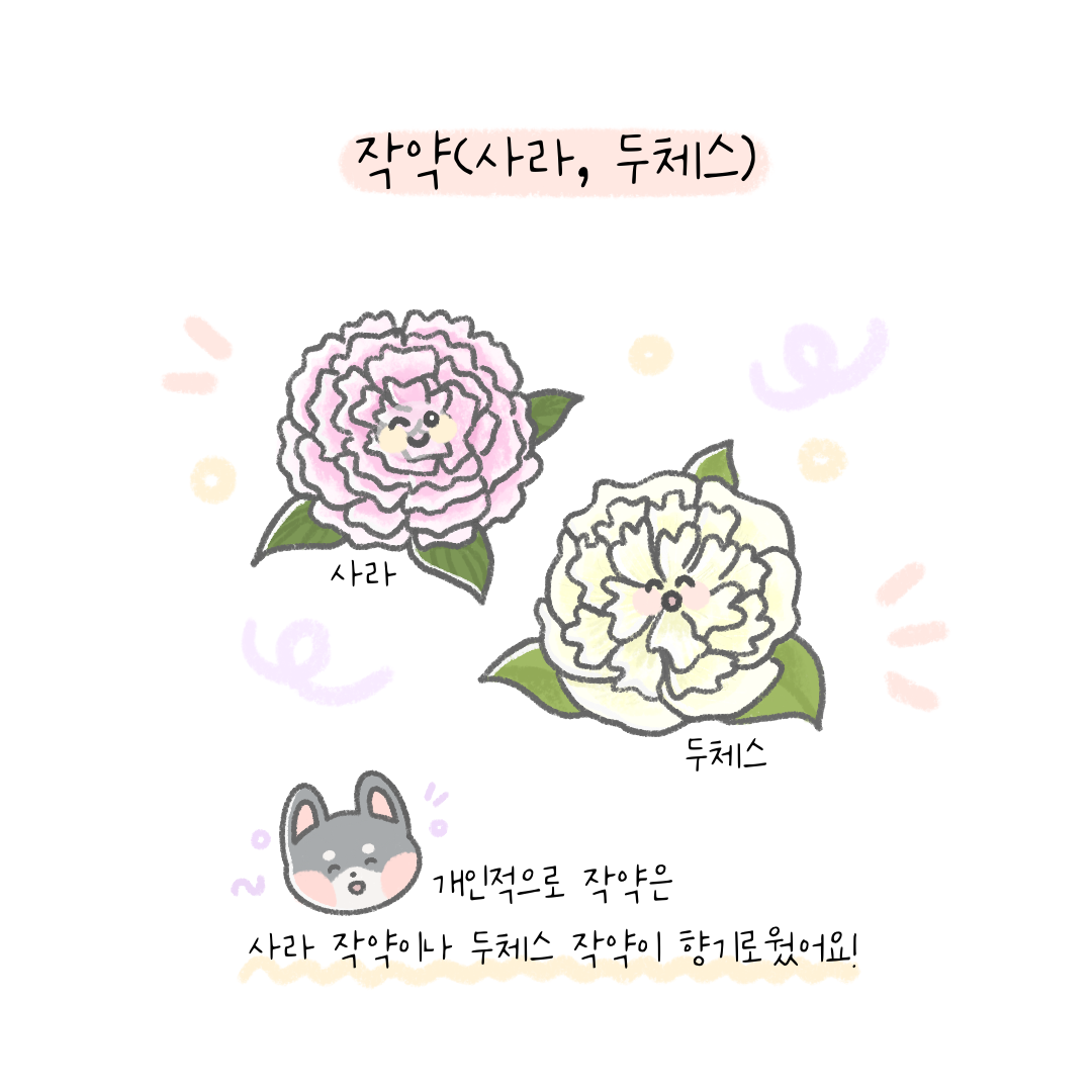 KakaoTalk_20240426_123927101_05.png