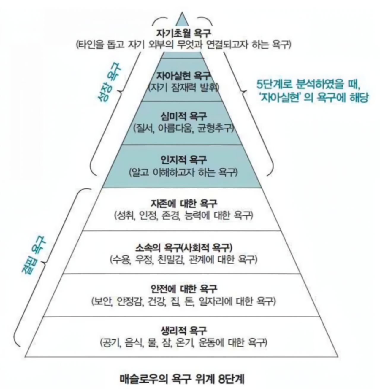 매슬로우의 욕구.png