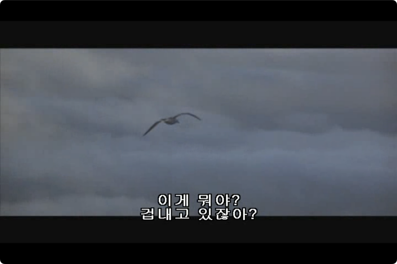 갈매기의 꿈.mp4 - 00.19.02.233.png