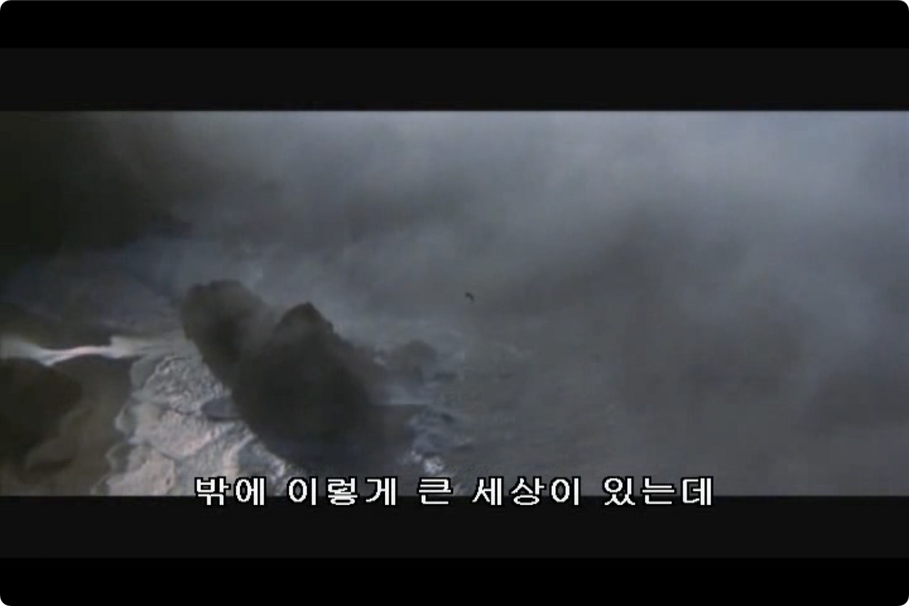갈매기의 꿈.mp4 - 00.15.05.000.png