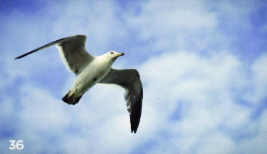 스크린샷 2023-09-10 오후 5.19.38.png