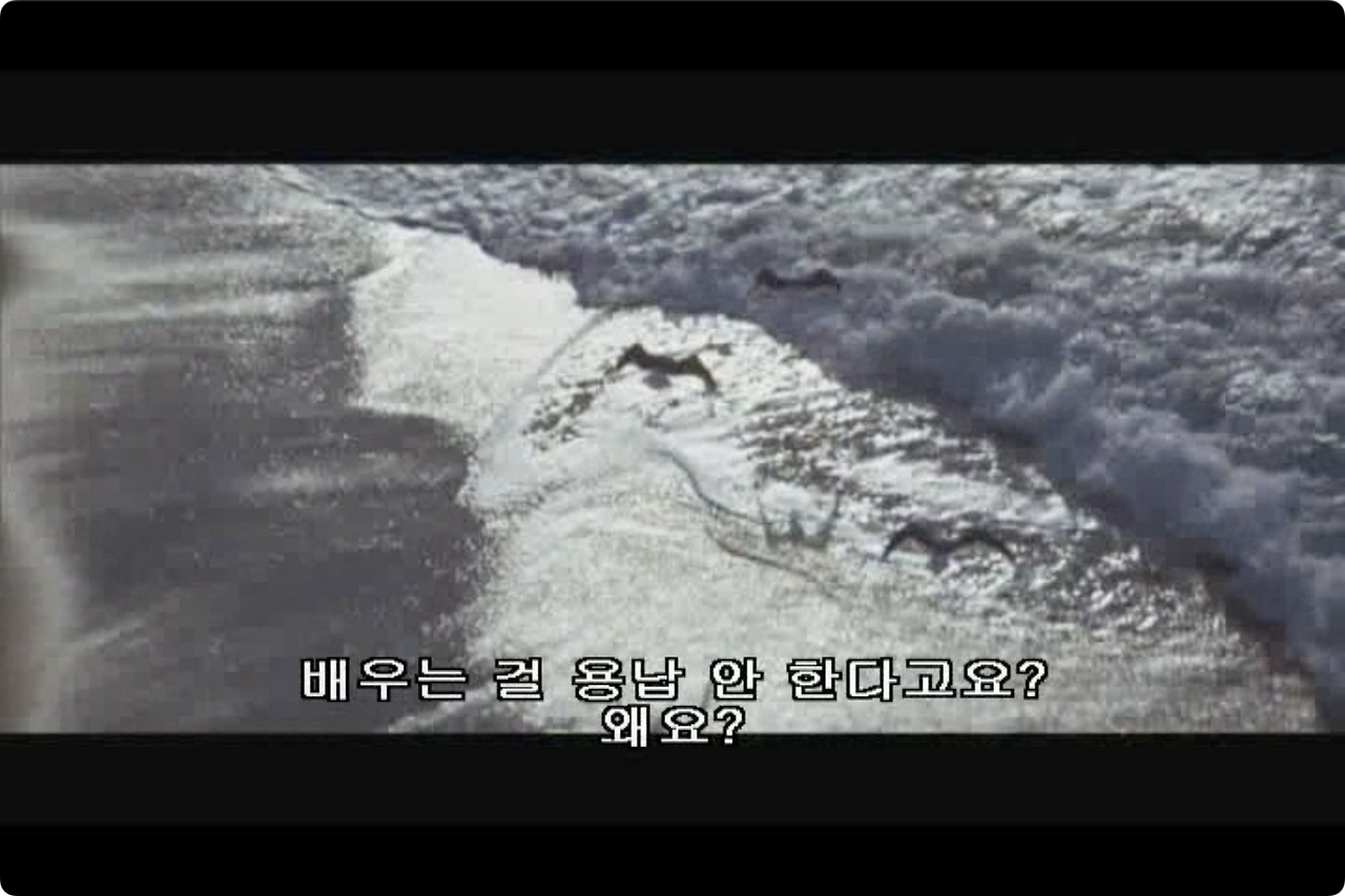 갈매기의 꿈.mp4 - 00.15.49.366.png