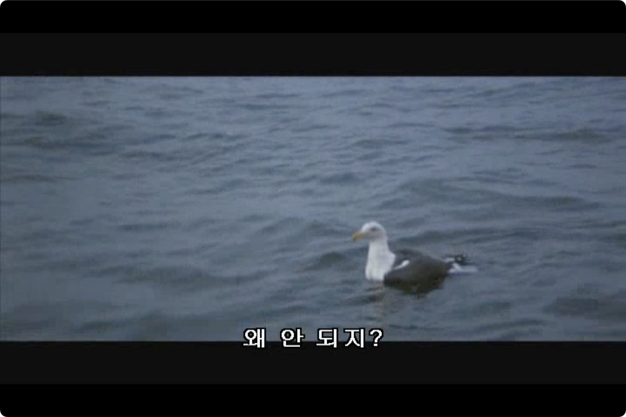갈매기의 꿈.mp4 - 00.11.54.200.png