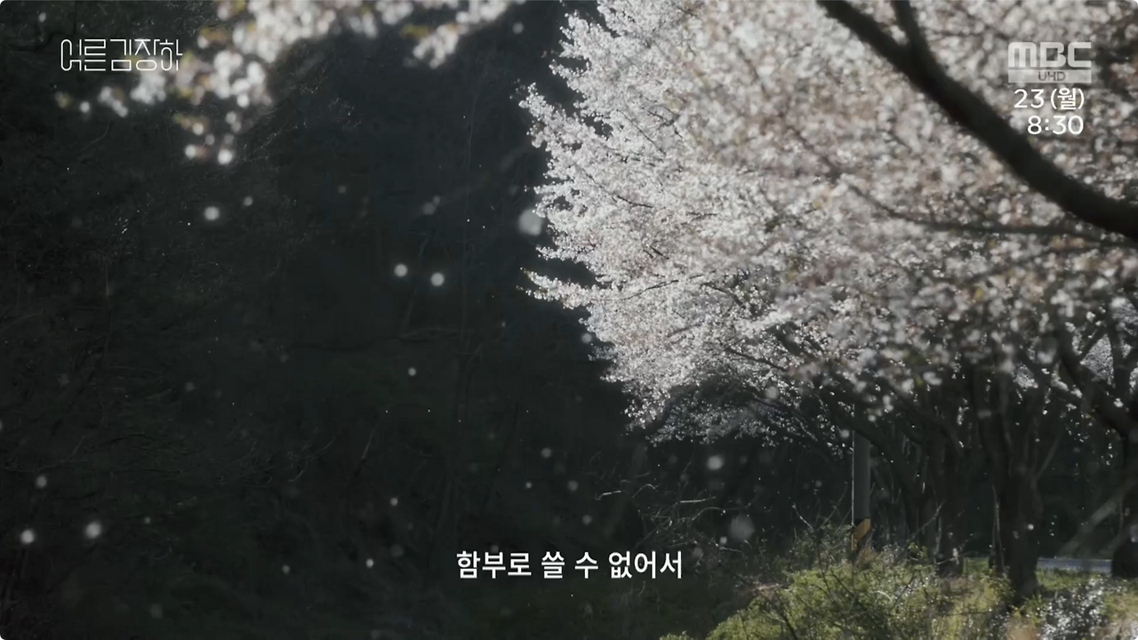 설특집 다큐 어른 김장하.E01.230123.1080p.H264-F1RST.mp4 - 25.45.372.png