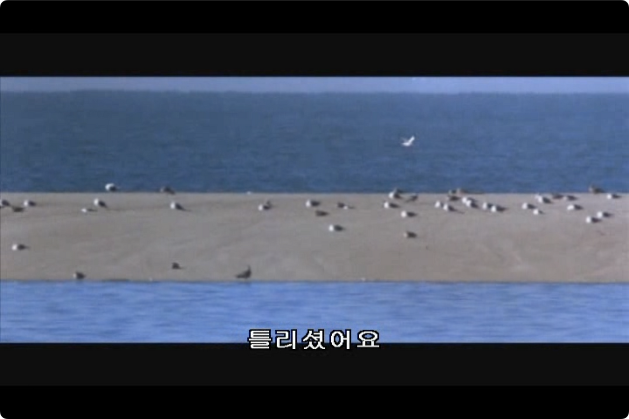 갈매기의 꿈.mp4 - 00.16.27.299.png