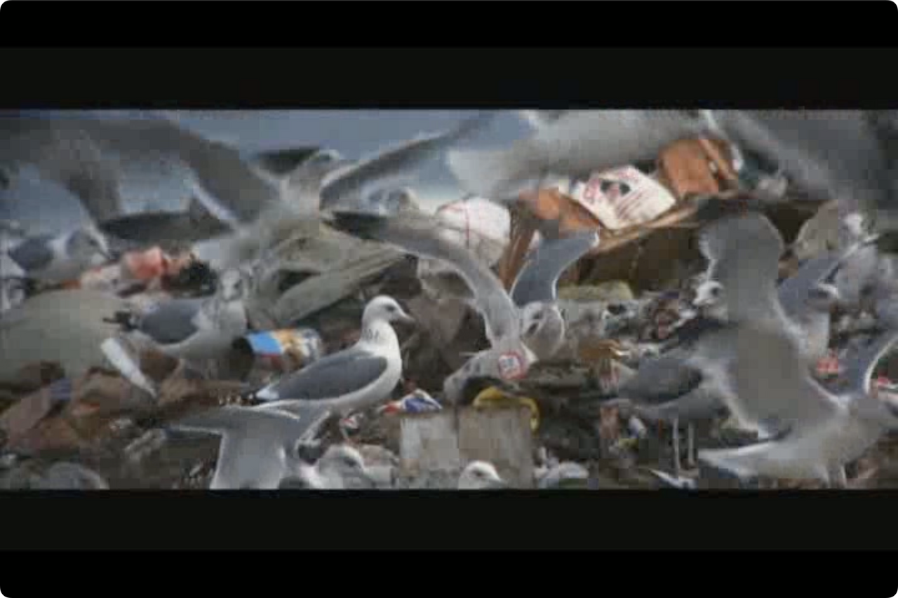 갈매기의 꿈.mp4 - 00.17.16.000.png