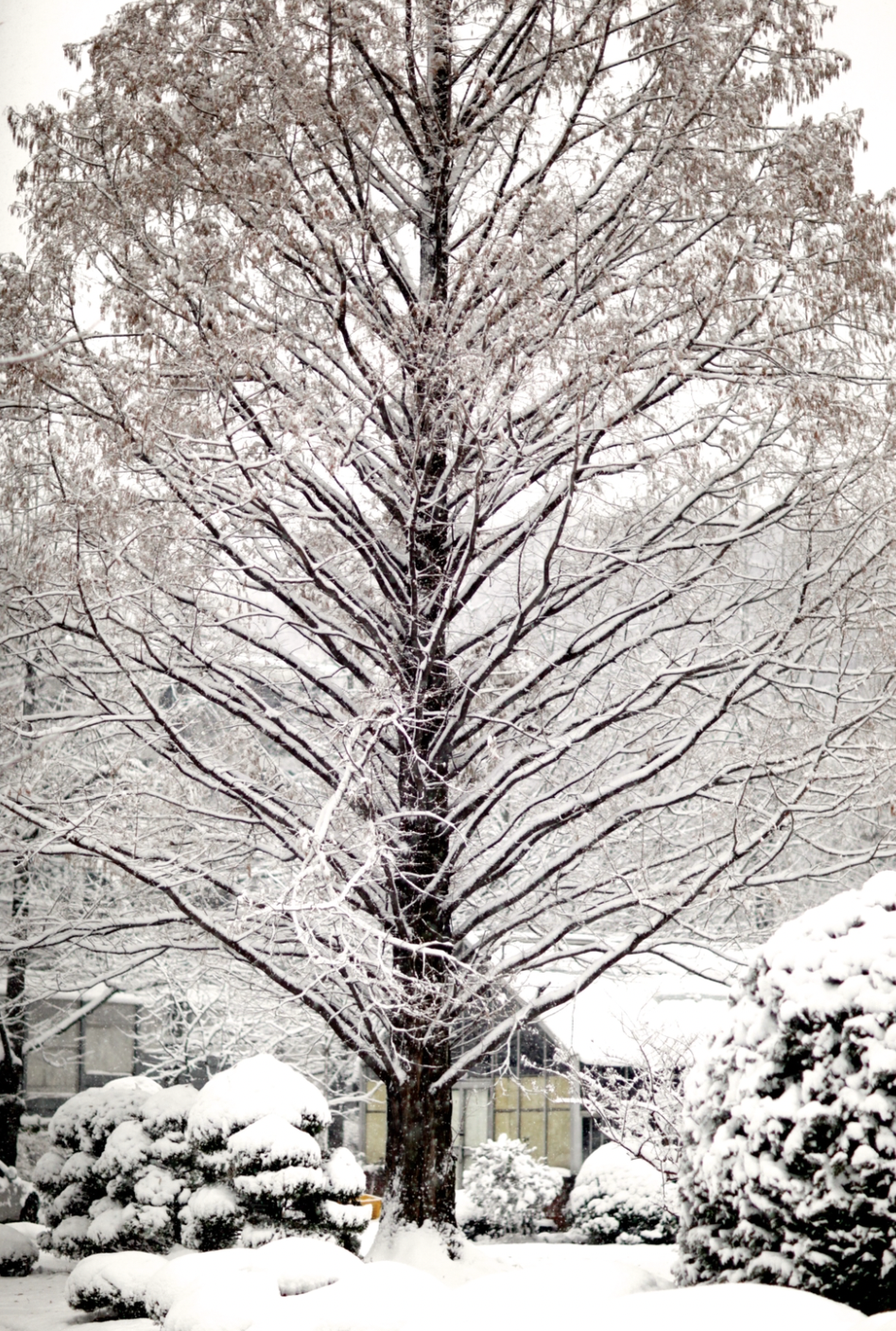 스크린샷 2023-09-10 오후 6.13.19.png