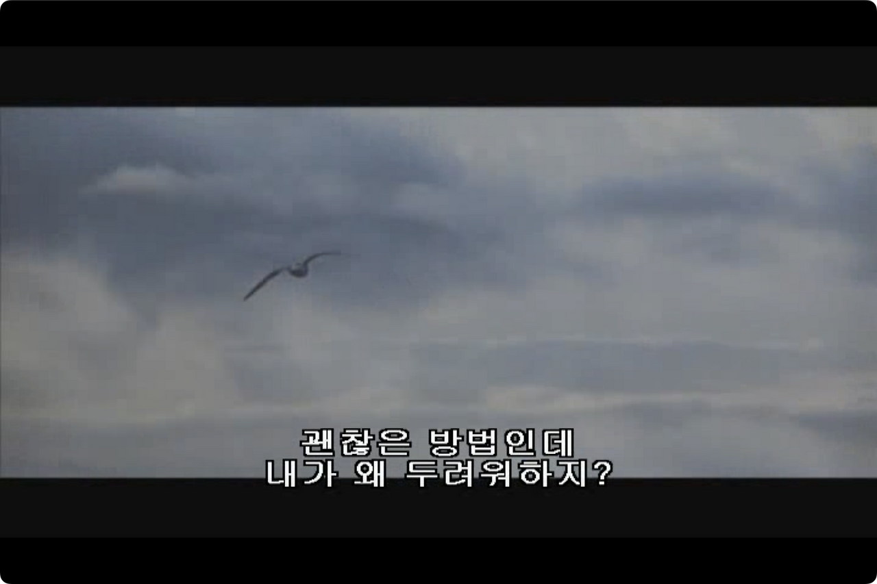 갈매기의 꿈.mp4 - 00.19.03.666.png