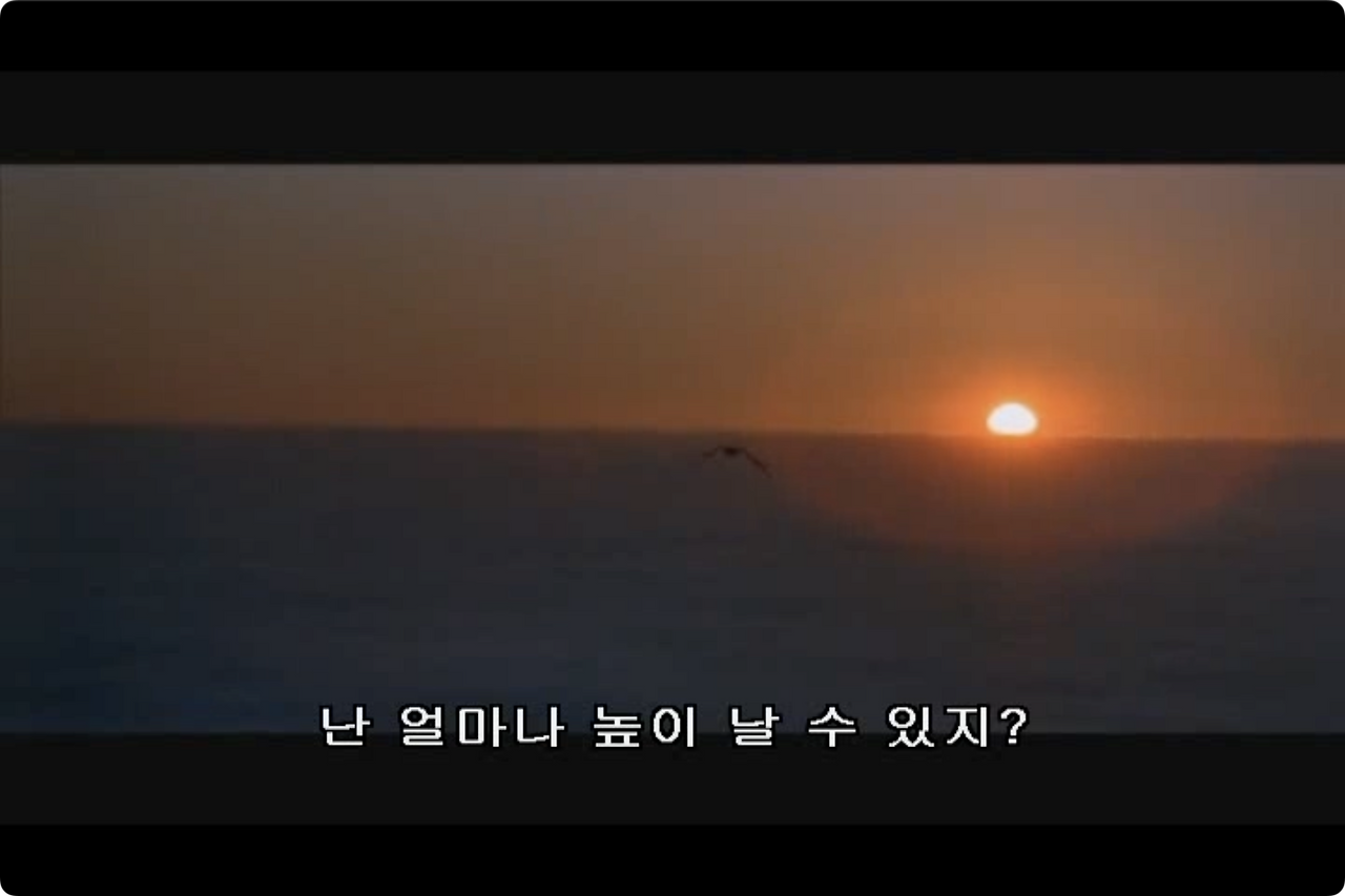 갈매기의 꿈.mp4 - 00.13.10.299.png