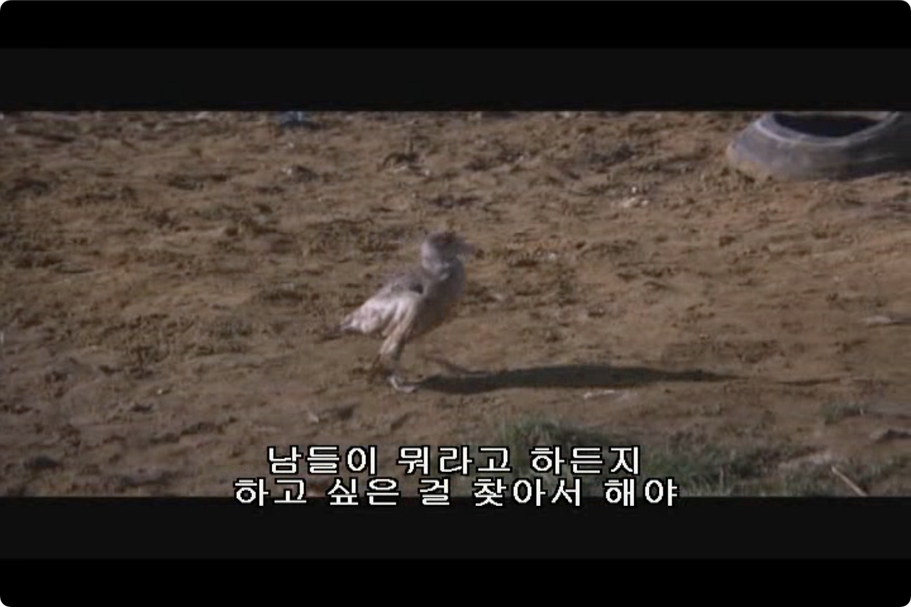 갈매기의 꿈.mp4 - 01.21.16.266.png