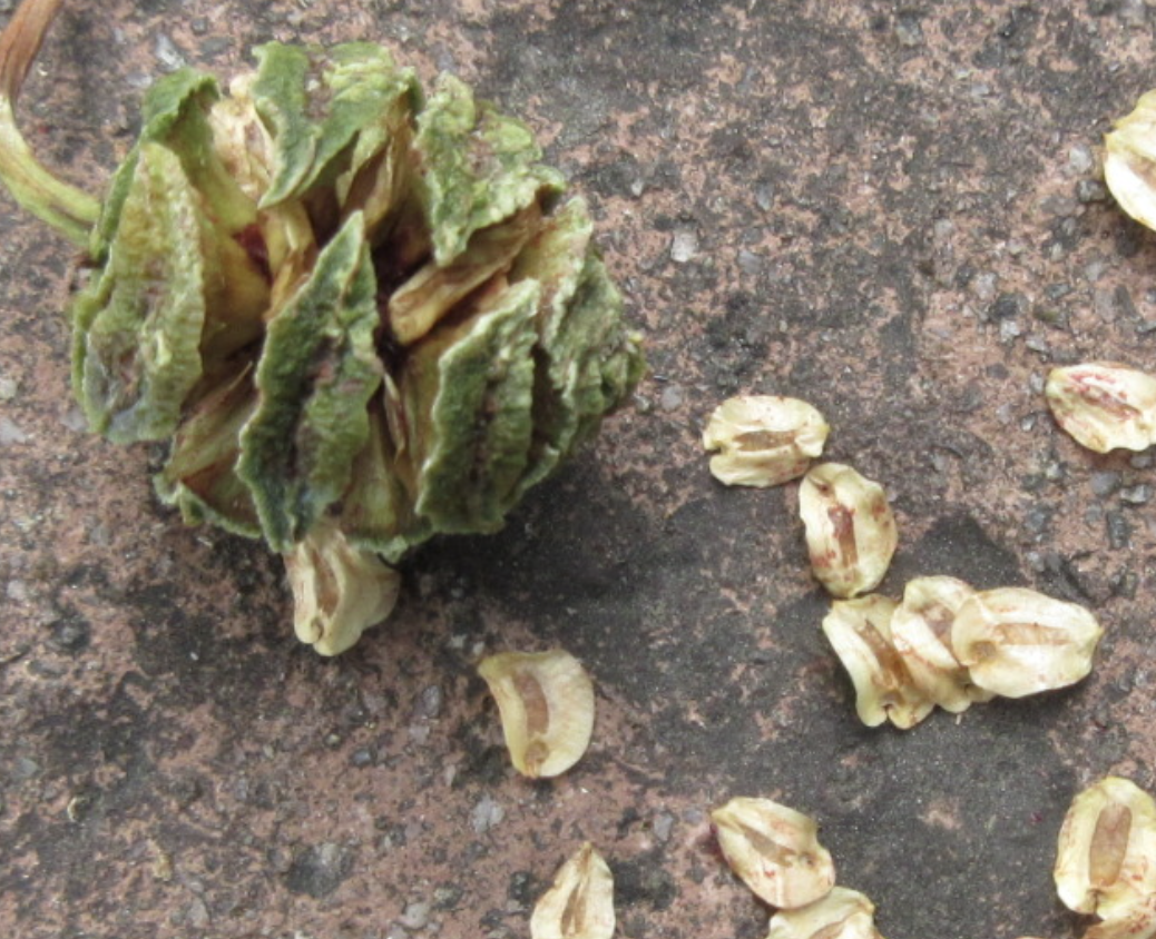 스크린샷 2023-09-10 오후 6.06.48.png