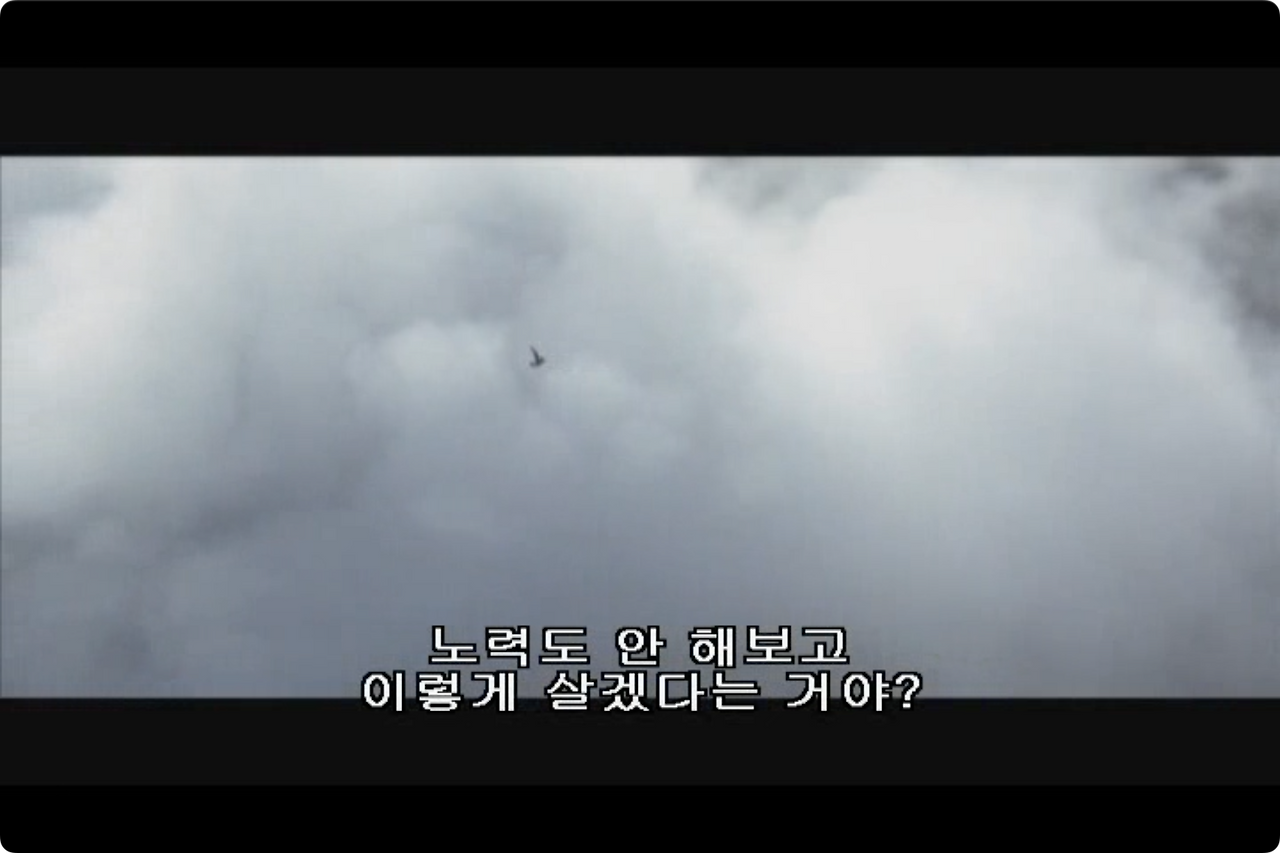 갈매기의 꿈.mp4 - 00.19.13.533.png