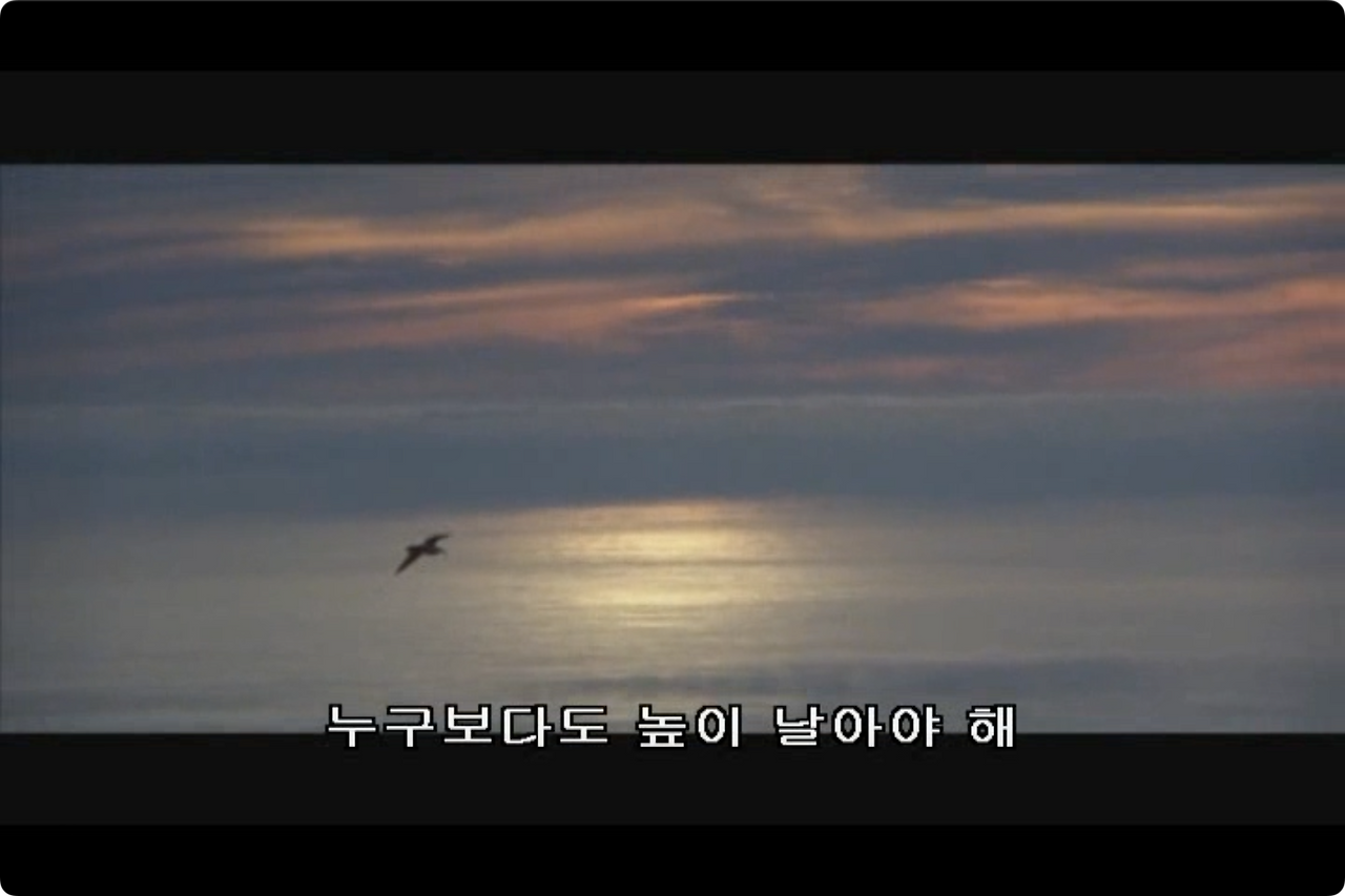 갈매기의 꿈.mp4 - 00.14.14.033.png