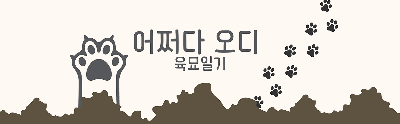실버온메인배너 (1).png