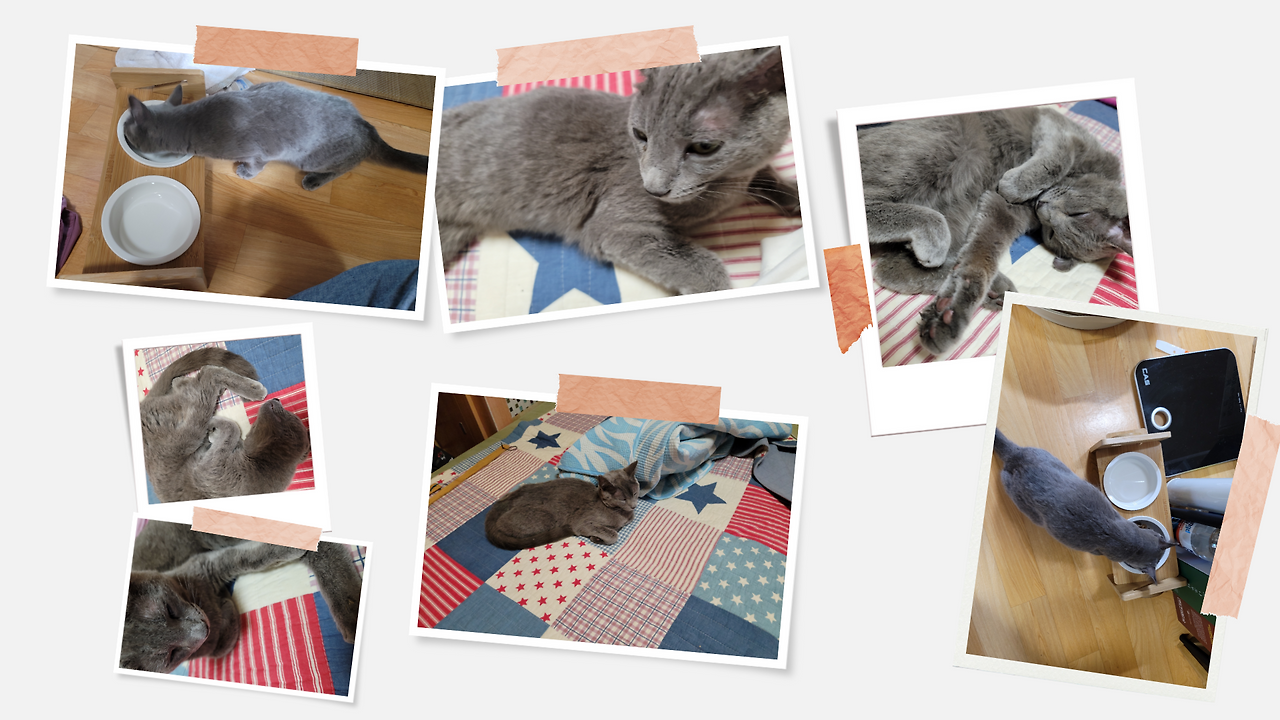 제목 없는 디자인 (11).png