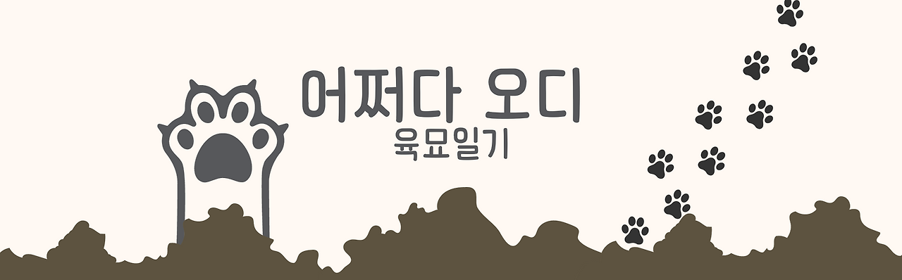 실버온메인배너 (6).png