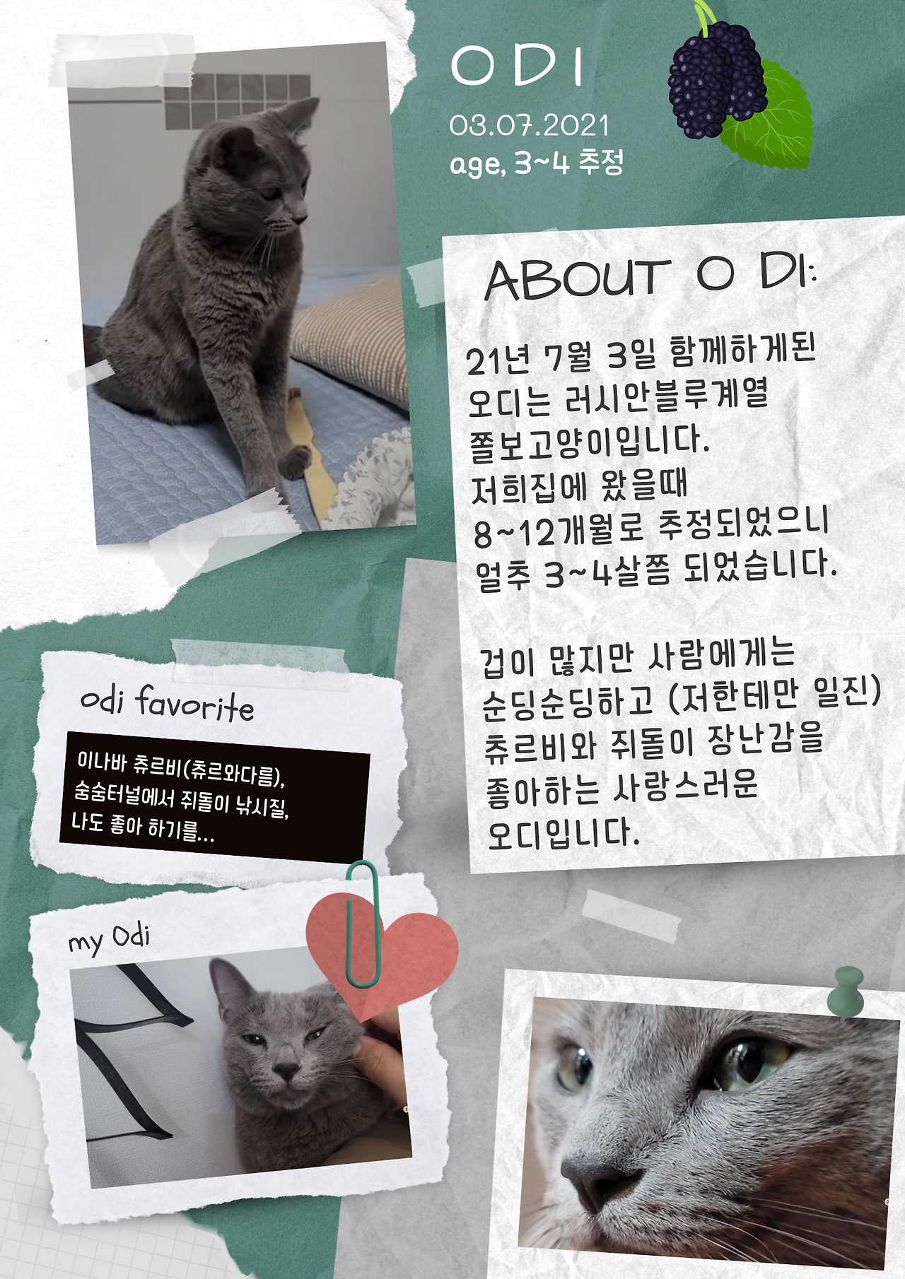 Green Floral Collage All About Me Poster.png