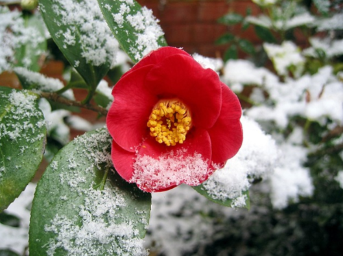 스크린샷 2024-03-10 154935.png