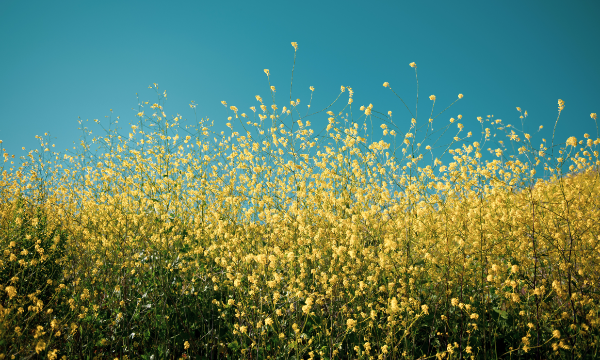 스크린샷 2023-12-29 183648.png