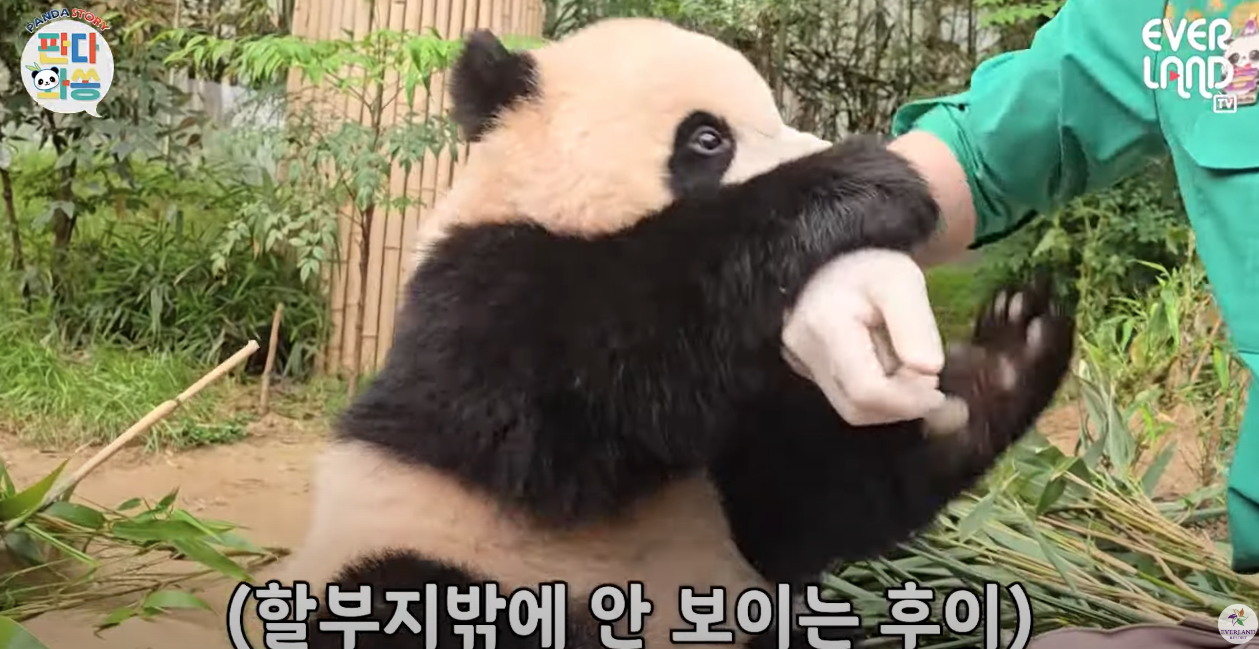 스크린샷 2024-05-04 오전 1.46.31.png