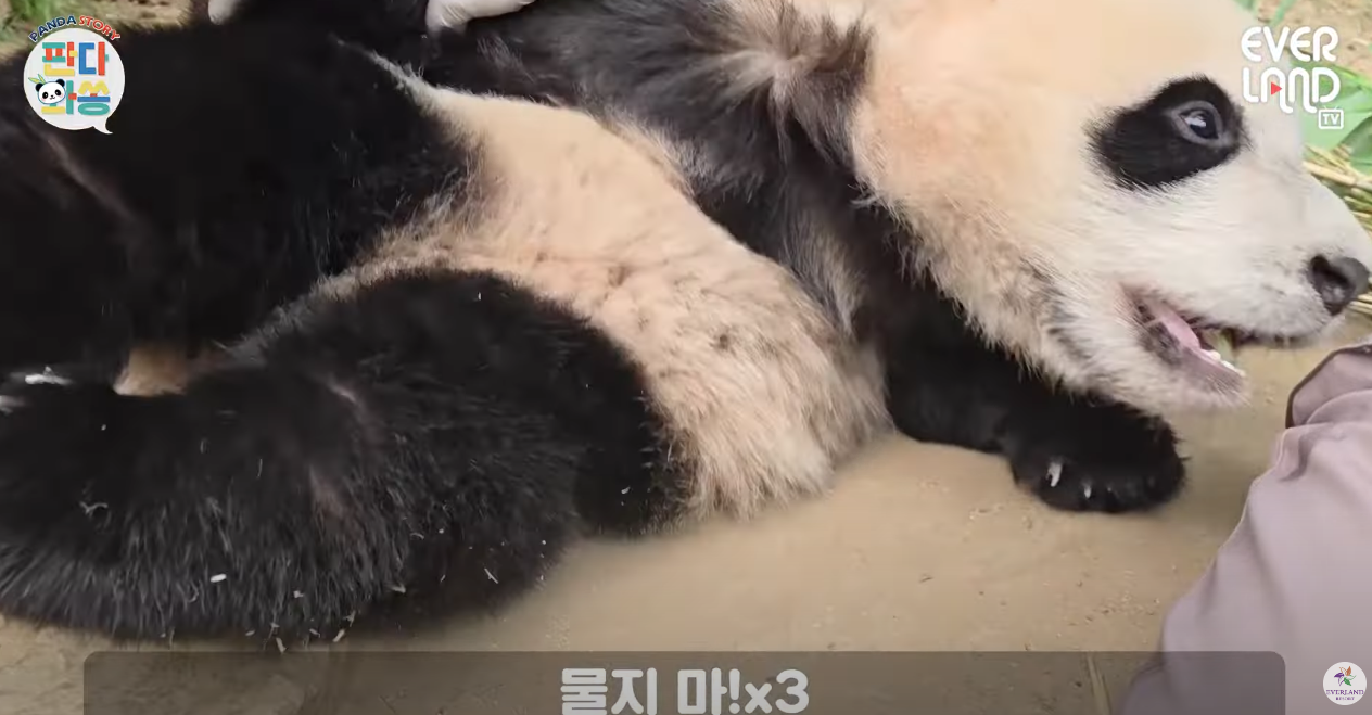 스크린샷 2024-05-04 오전 1.47.17.png