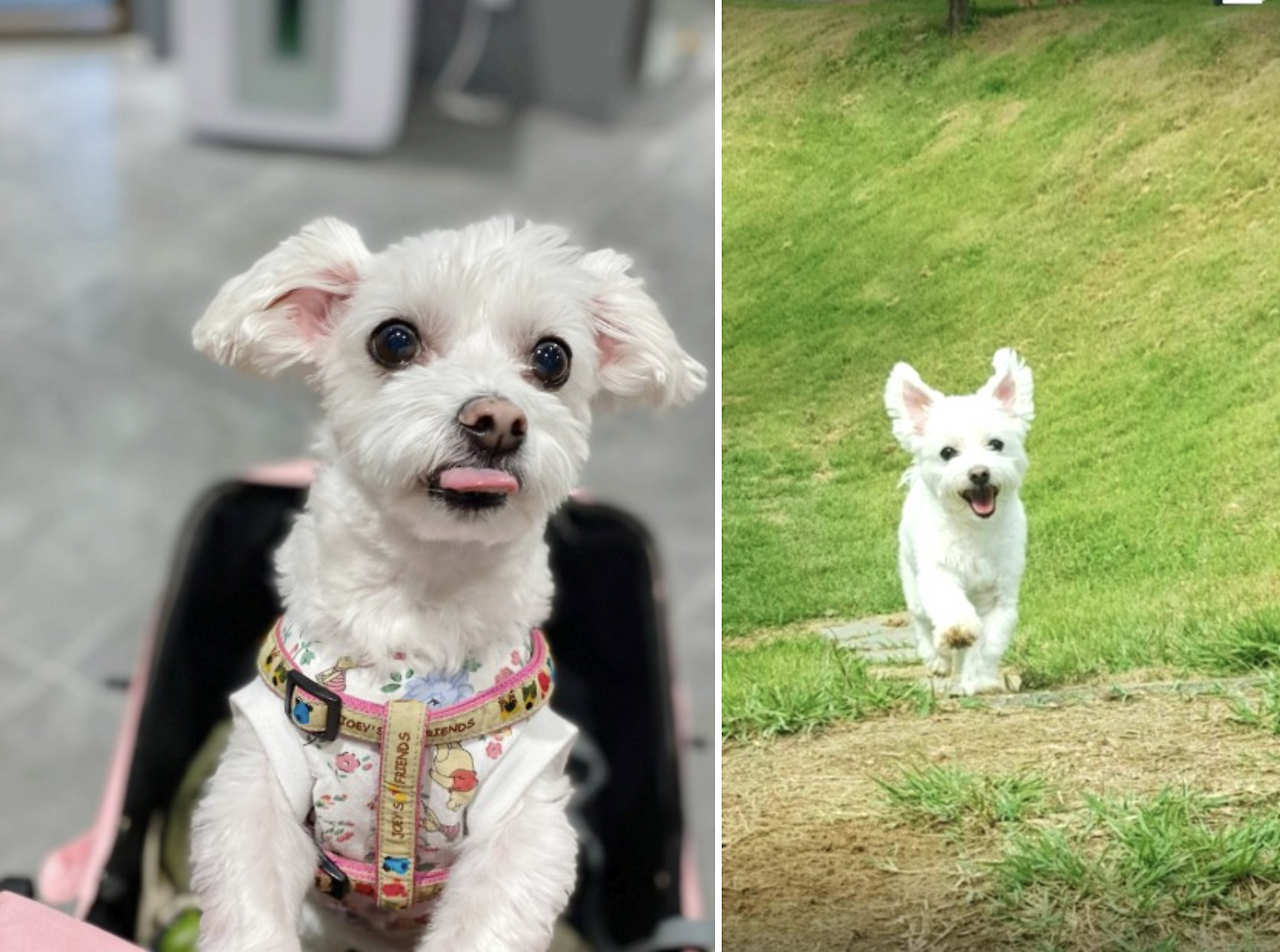 스크린샷 2024-01-25 오후 7.00.13.png