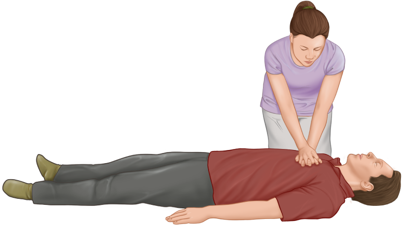 cpr-guide-chest-compressions-body-position.png