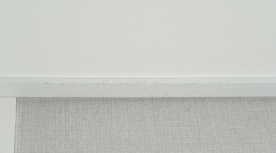 다이소 청소용품_2.png