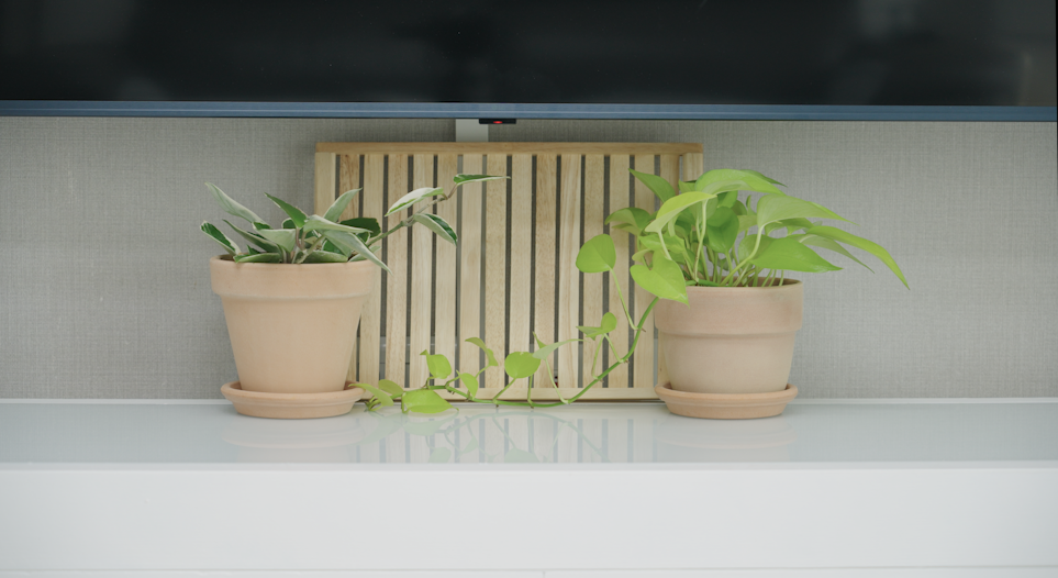 다이소 추천템_76.png