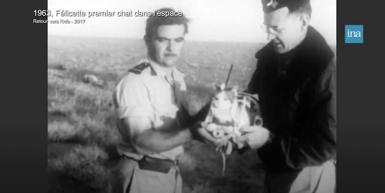 고양이의 귀환.png