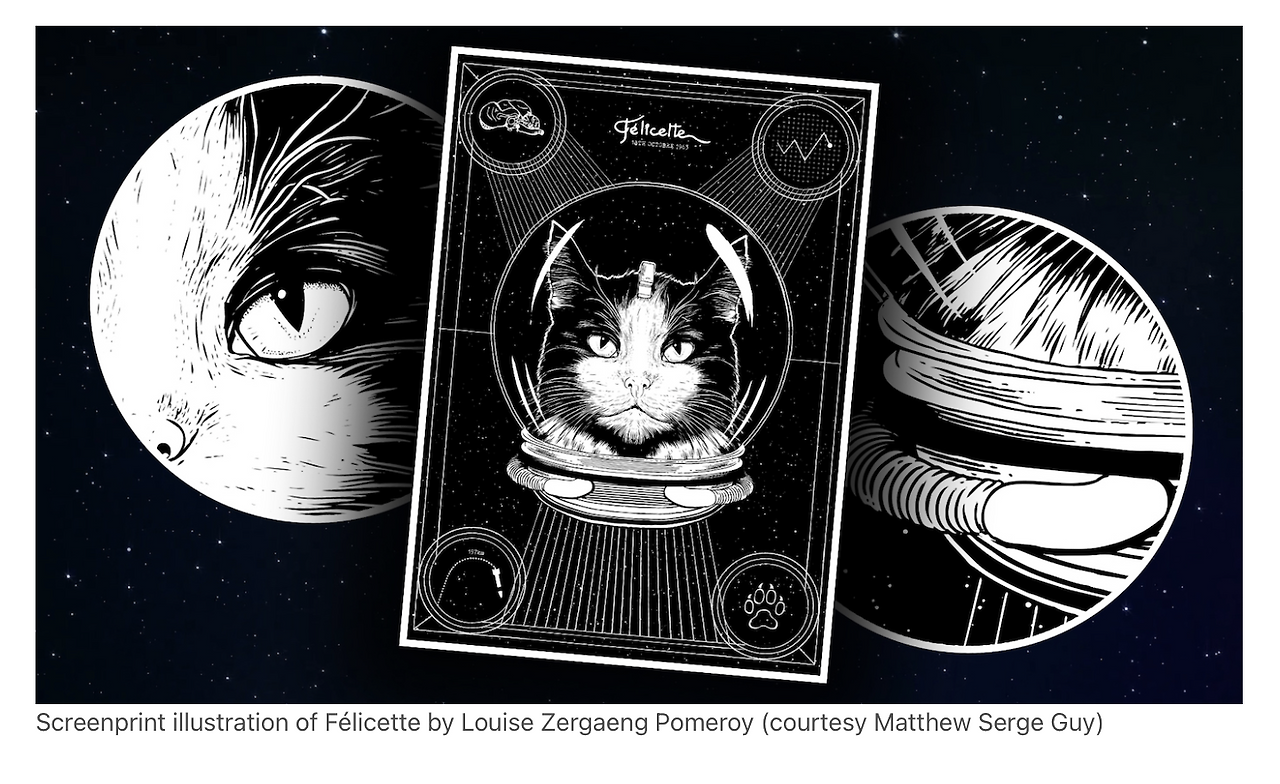 펠리세트 관련 리워드 상품_킥스타터.png