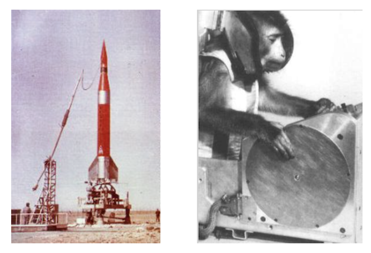 베스타로켓과 마르틴.png