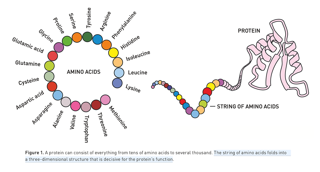 Pasted image 20241014144234.png