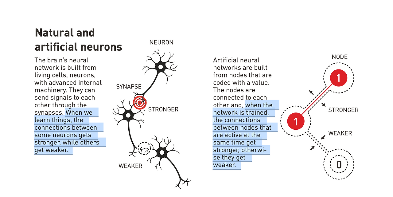 Pasted image 20241011065445.png