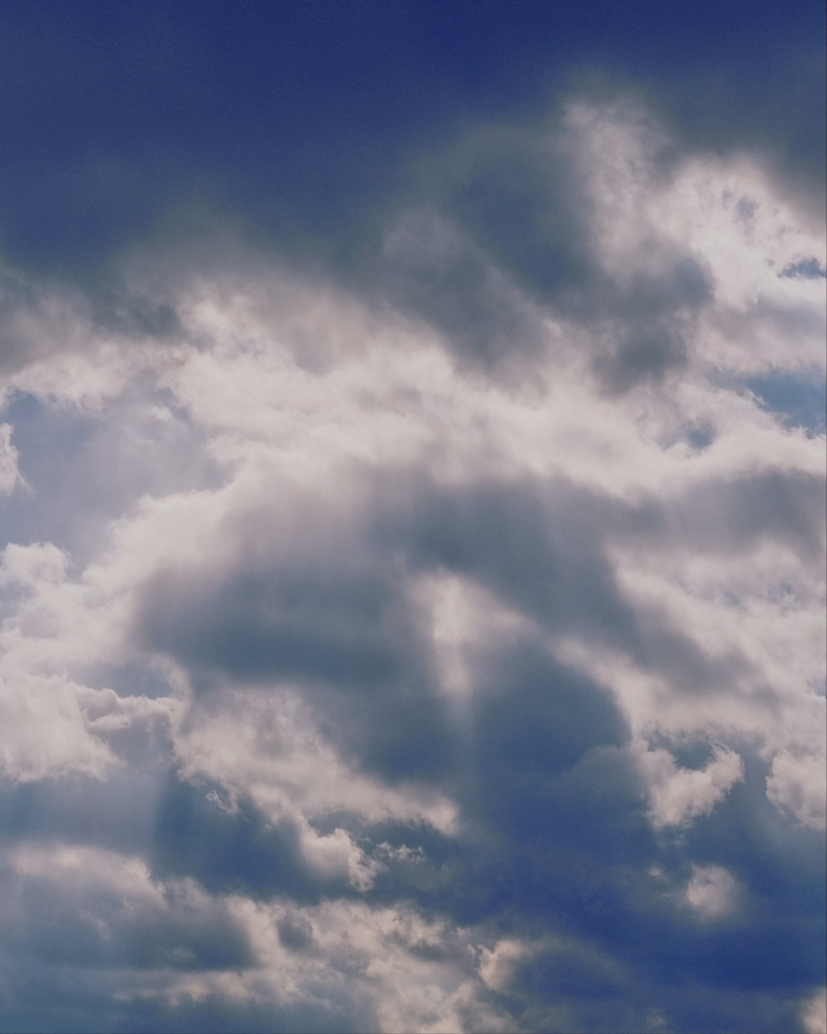 제목 없는 디자인 (3).png