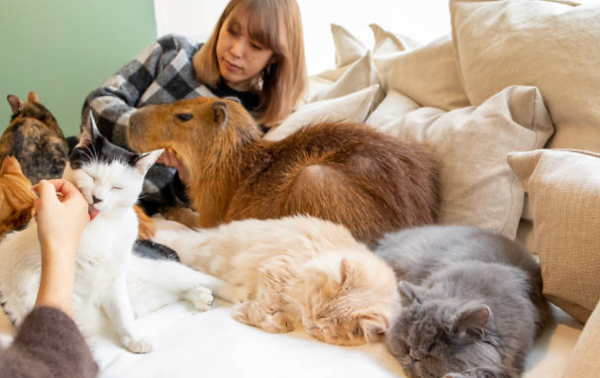 スクリーンショット 2024-10-31 7.10.47.png