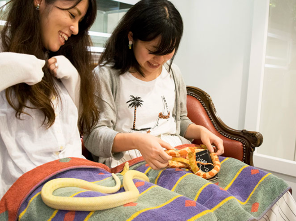 スクリーンショット 2024-10-31 7.19.09.png