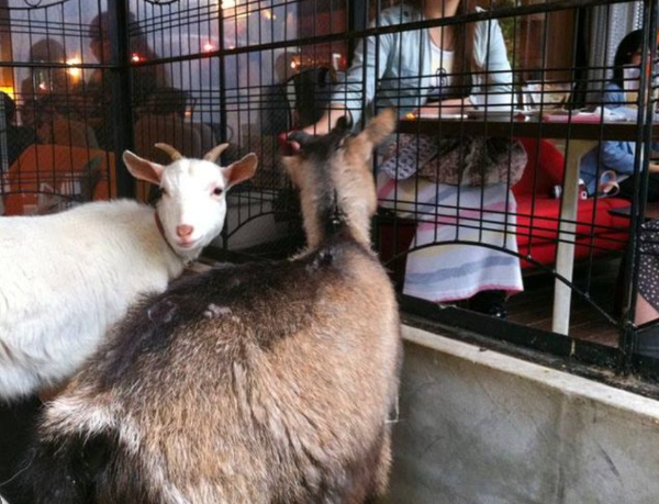 スクリーンショット 2024-10-31 7.31.43.png